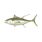 Comprar Conservas de pescado sano enlatado - The Spanish Food Company